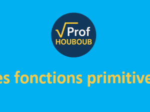 les fonctions primitives